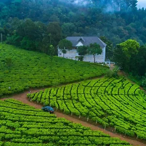Tea Harvester 3*, Munnar Inde